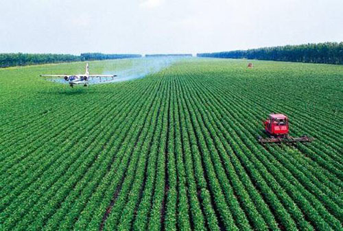 探寻全球粮食安全治理的有效模式
